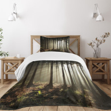 Morning Forest Scenery Bedspread Set
