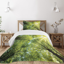 Romantic Beech Trees Bedspread Set