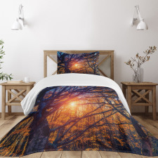 Majestic Trees Woods Bedspread Set