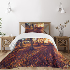 Sunset Forest Trees Bedspread Set