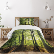 Sunny Forest Springtime Bedspread Set