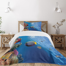 Underwater Fish Sea Bedspread Set