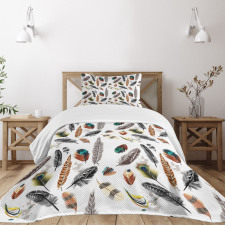 Vivid Feathers Vivid Art Bedspread Set