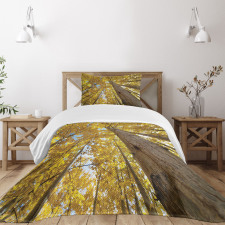 Aspen Trees in Forest Bedspread Set