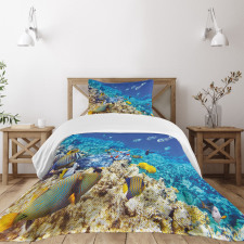 Aquatic Corals Bedspread Set