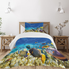 Ocean Animals Bedspread Set