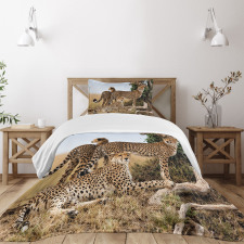 Safari Animal Cheetahs Bedspread Set