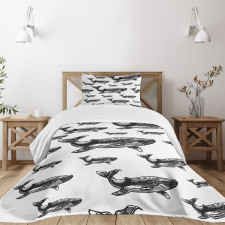 Hand Drawn Big Whales Bedspread Set