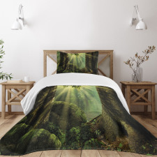 Sunbeam Moss Tree Bodies Bedspread Set