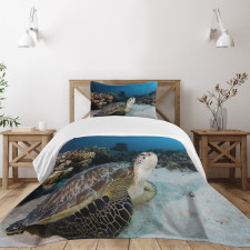 Turtle Coral Reef Bedspread Set