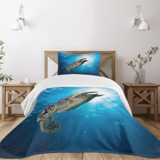 Sea Turtle Diving Bedspread Set
