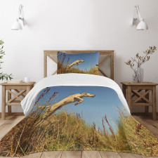 Purebred Labrador Bedspread Set