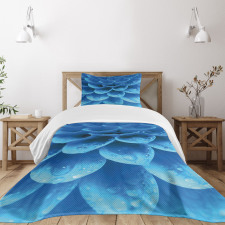 Gerbera Abstract Petals Bedspread Set