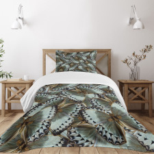 Butterflies Jungle Queen Bedspread Set