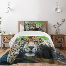 Jaguar Wildcat Feline Bedspread Set