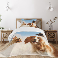 Cats Dogs in Sky Clouds Bedspread Set