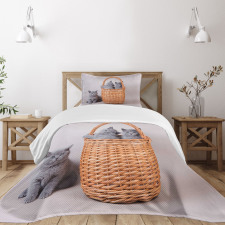 British Cats in Basket Bedspread Set