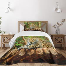 Jaguar on Wood Wild Feline Bedspread Set