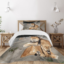 Lions Basking in Sun Jungle Bedspread Set