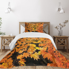 Vivid Autumn Maple Leaves Bedspread Set