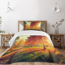 Misty Day in the Forest Bedspread Set