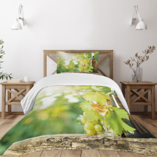 Young Vine Green Spring Bedspread Set