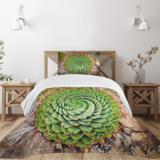 Aloe Polyphylla Vera Bedspread Set