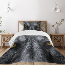 Wild Wolf Dangerous Mammal Bedspread Set