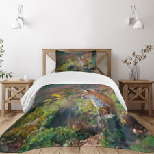 Young Wild Fox in Woodland Bedspread Set