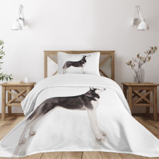 Arctic Animal Bedspread Set
