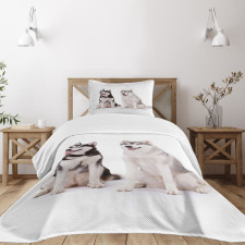 Furry Doggies Bedspread Set