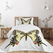 Old Papilio Bedspread Set