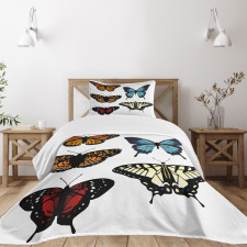 Monarch Lady Bedspread Set