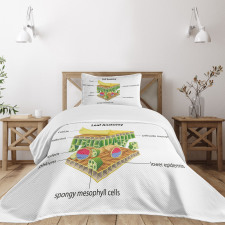 Leaf Names Theme Bedspread Set