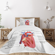 Human Body Organ Bedspread Set