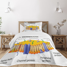 Membrane Cell Types Bedspread Set