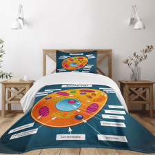 Science at School Bedspread Set