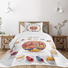 Skin Anatomy Veins Bedspread Set