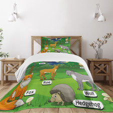 Cartoon Animals Bedspread Set