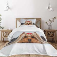 Lying Dog Ribbon Love Bedspread Set