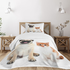 Kitten and Puppy Photo Bedspread Set