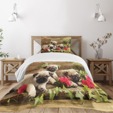Sibling Puppies Flowers Bedspread Set