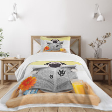 Pug Reading News Daily Dog Bedspread Set