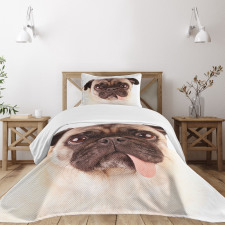 Upset Dog Sad Eyed Pet Bedspread Set