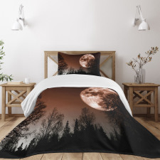 Abstract Colored Forest Bedspread Set