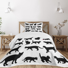 Black Kittens Pets Paws Bedspread Set