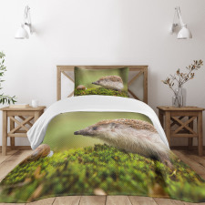 Eastern Europe Scene Bedspread Set