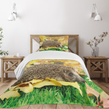 Little Hedgehog Bedspread Set