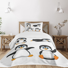 Penguin Cartoon Fun Bedspread Set