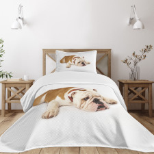 Sad Animal Bedspread Set